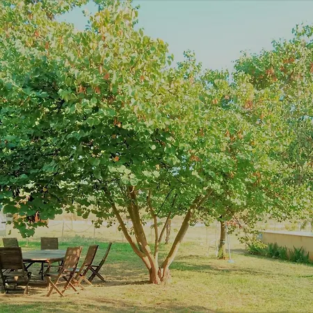 Les Violetes Holiday home Serra de Almos