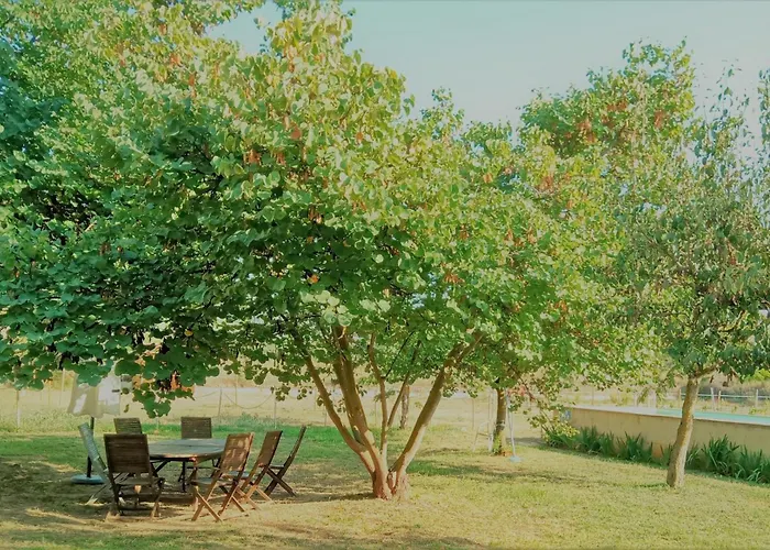 Les Violetes Holiday home Serra de Almos
