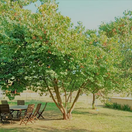 Les Violetes Holiday home Serra de Almos