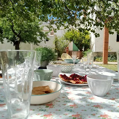 Holiday home Les Violetes *